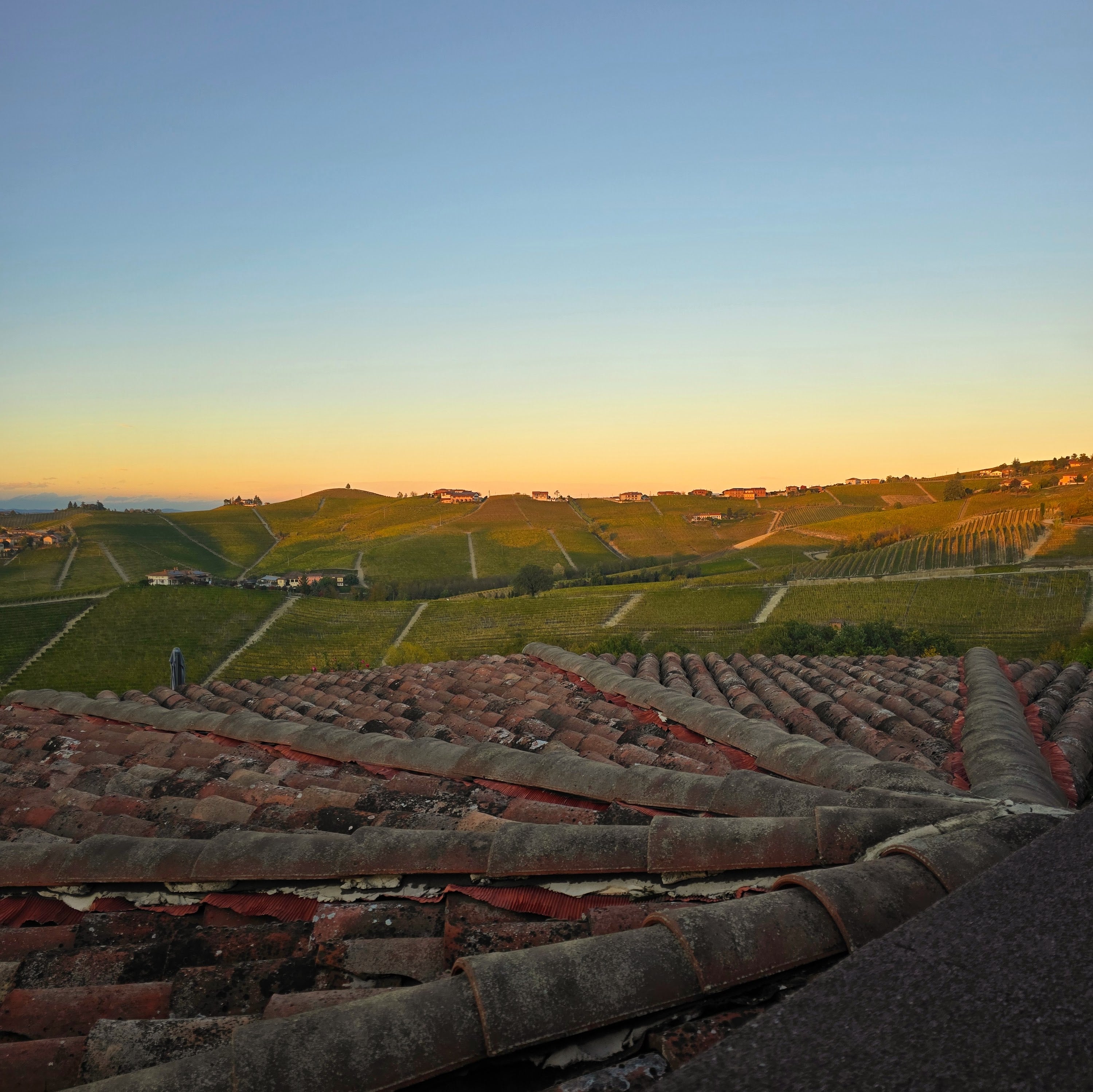 VINKURS: Nyfiken på vin - Druvan startdatum 28 januari kl 18.30