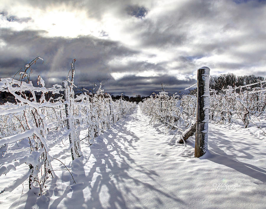 AW hos Sommelierskan - Röd snö 13 november kl. 17.15
